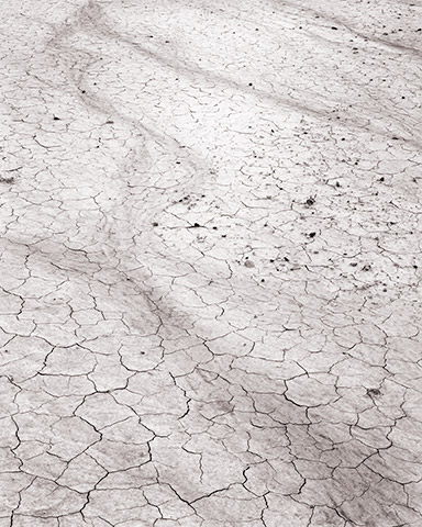 Travis Lovell - Photographer