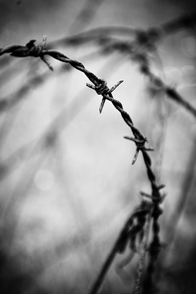 Travis Lovell - Photographer