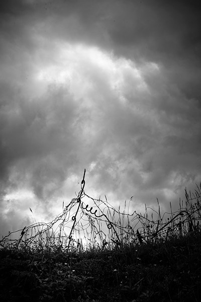 Travis Lovell - Photographer